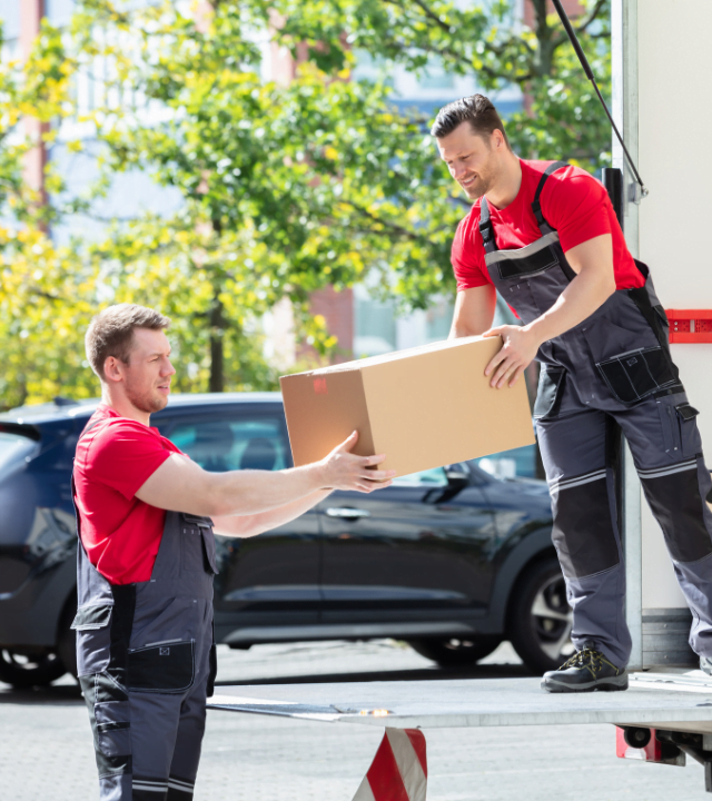 Swift And Reliable Junk Collection In Dubai